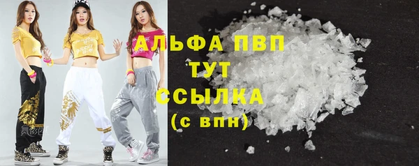 винт Абаза